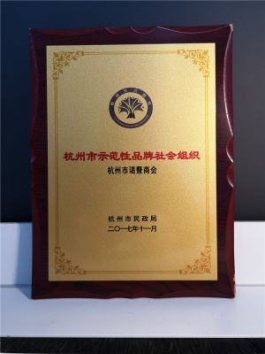 2017年杭州市示范性品牌社会组织